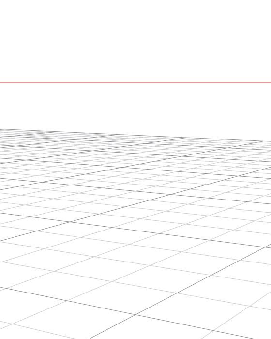 Perspective guides for the same shot: a horizon line and a ground grid in perspective.